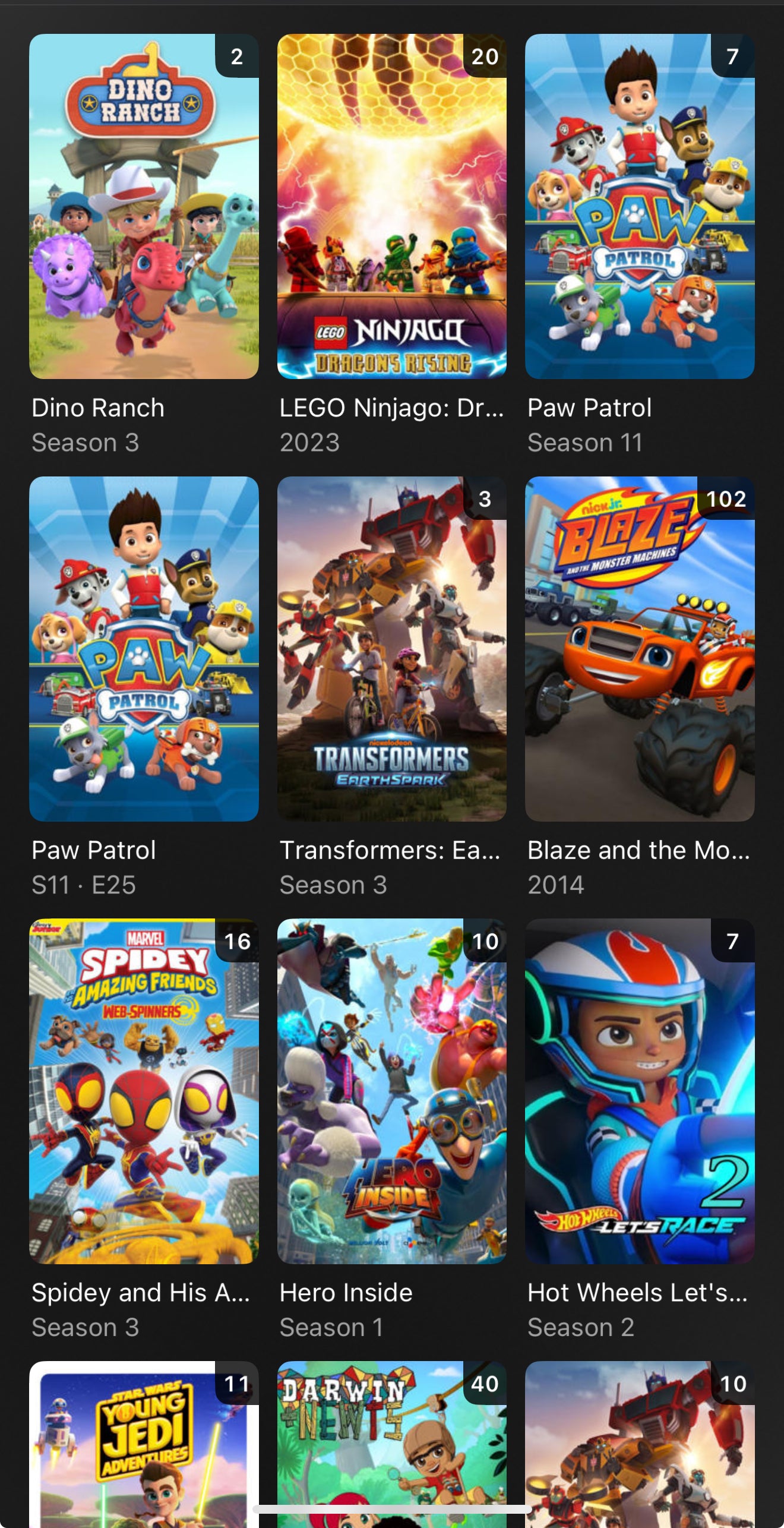 Streaming Movies and TV Shows - 12 Months Subscription